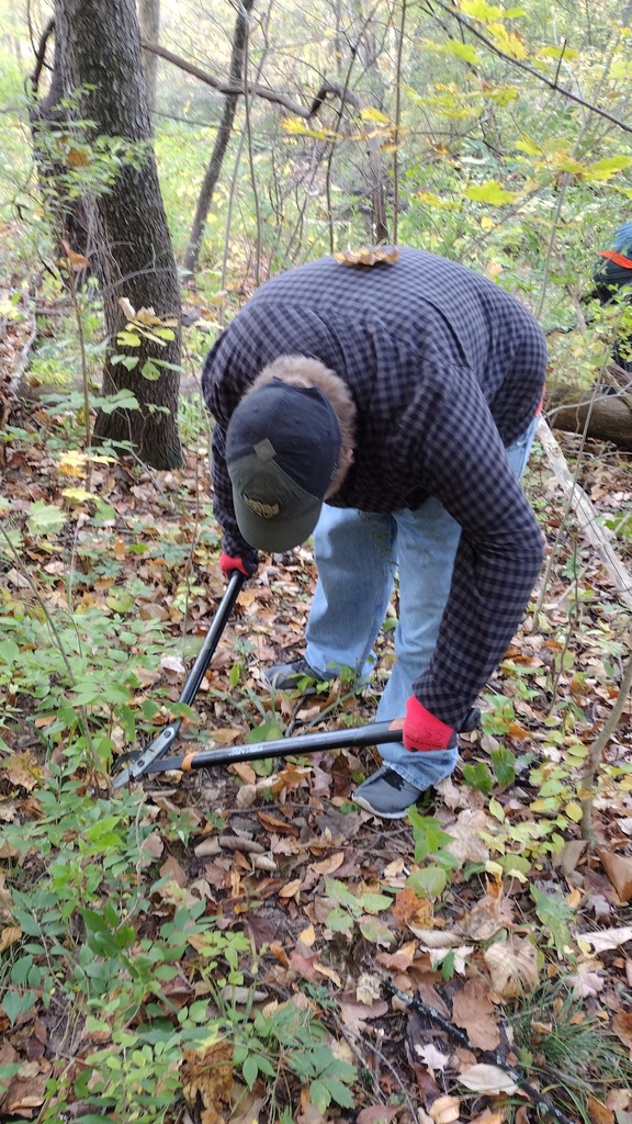 Day of Service