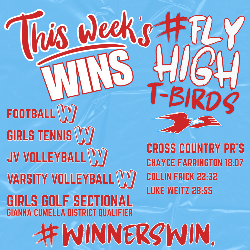 This Week's Wins