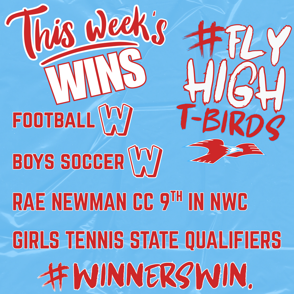 This Week's Wins