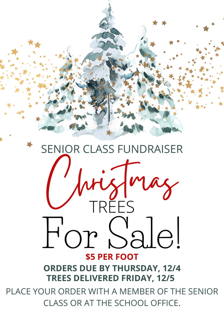 Senior Christmas Trees