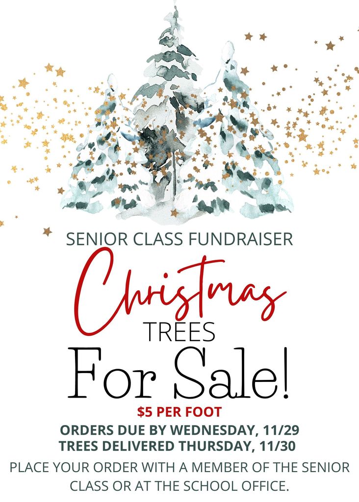 Senior Class Christmas Tree Ad