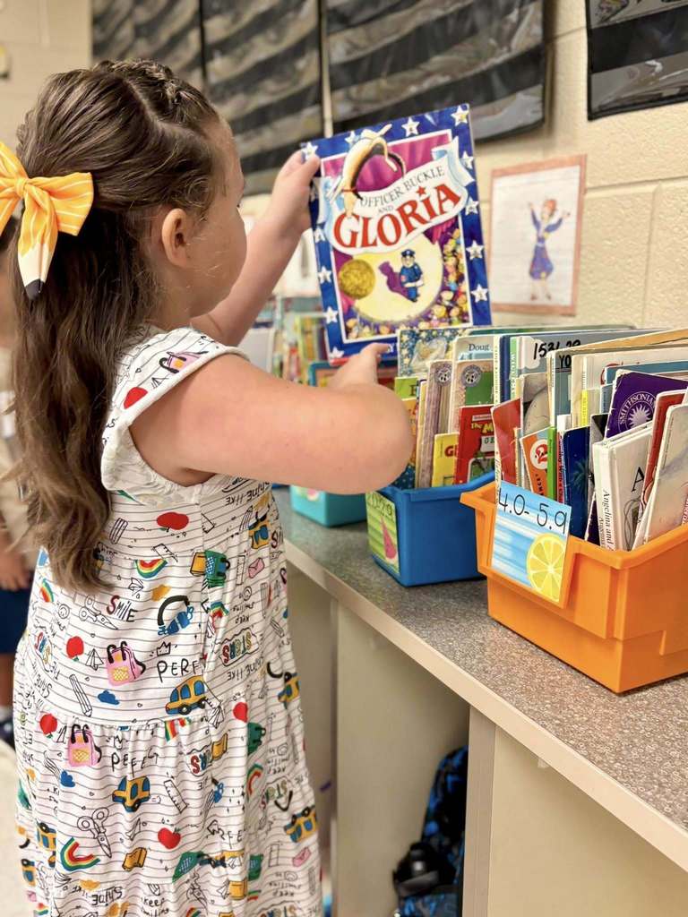 Blue Springs student browses for a book