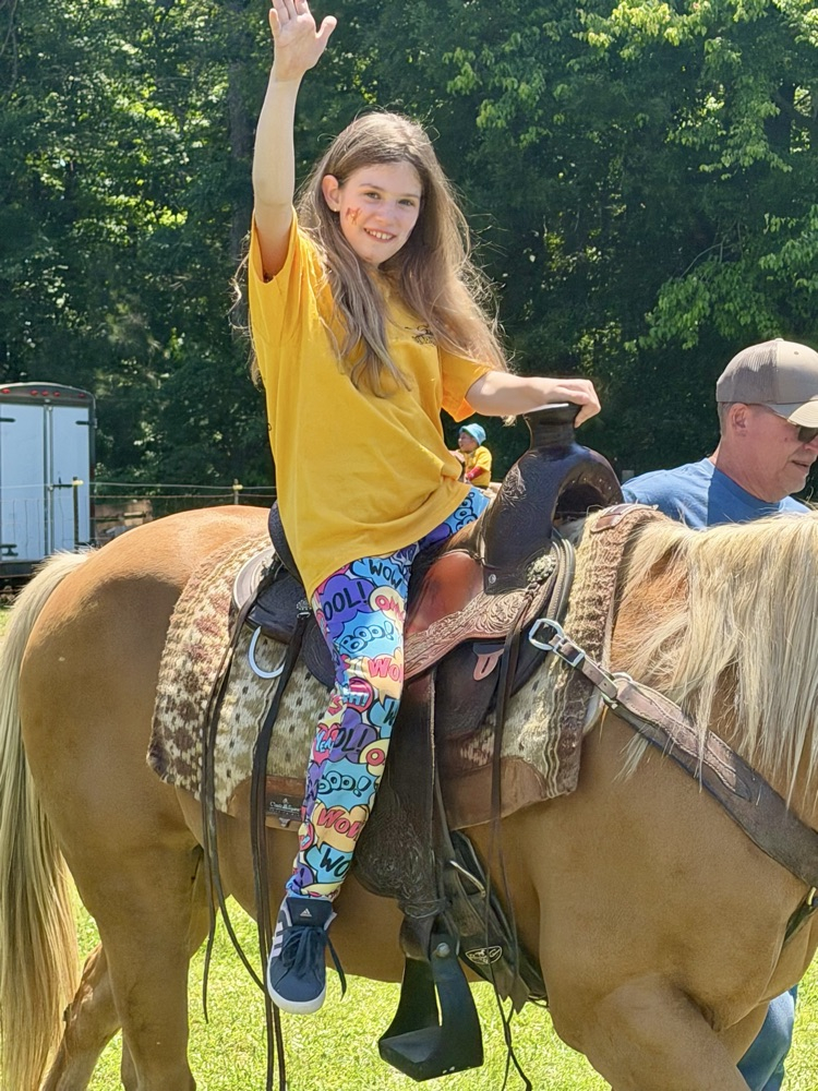 rodeo
