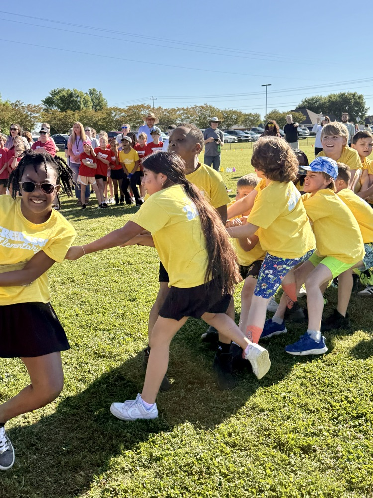 field day