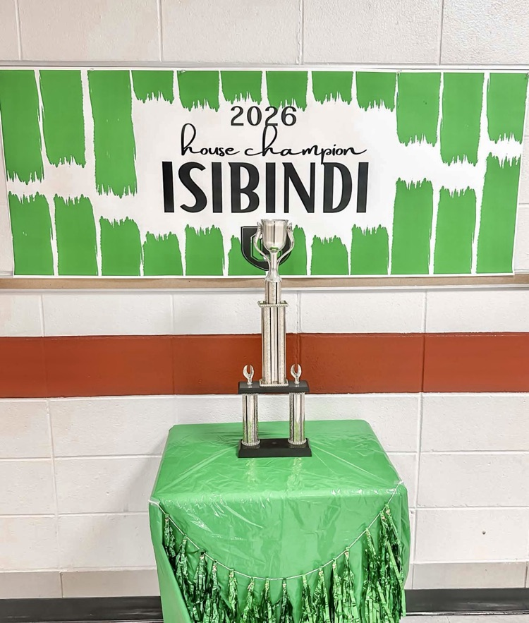 ISIBINDI