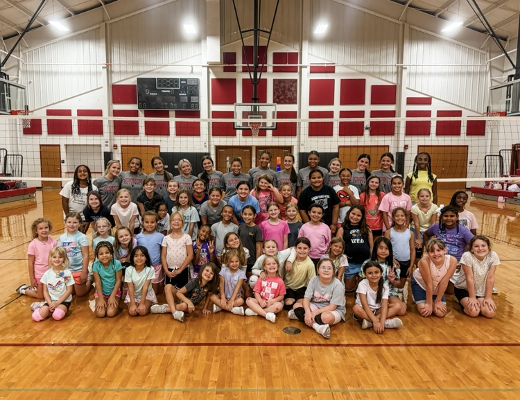volleyball 
