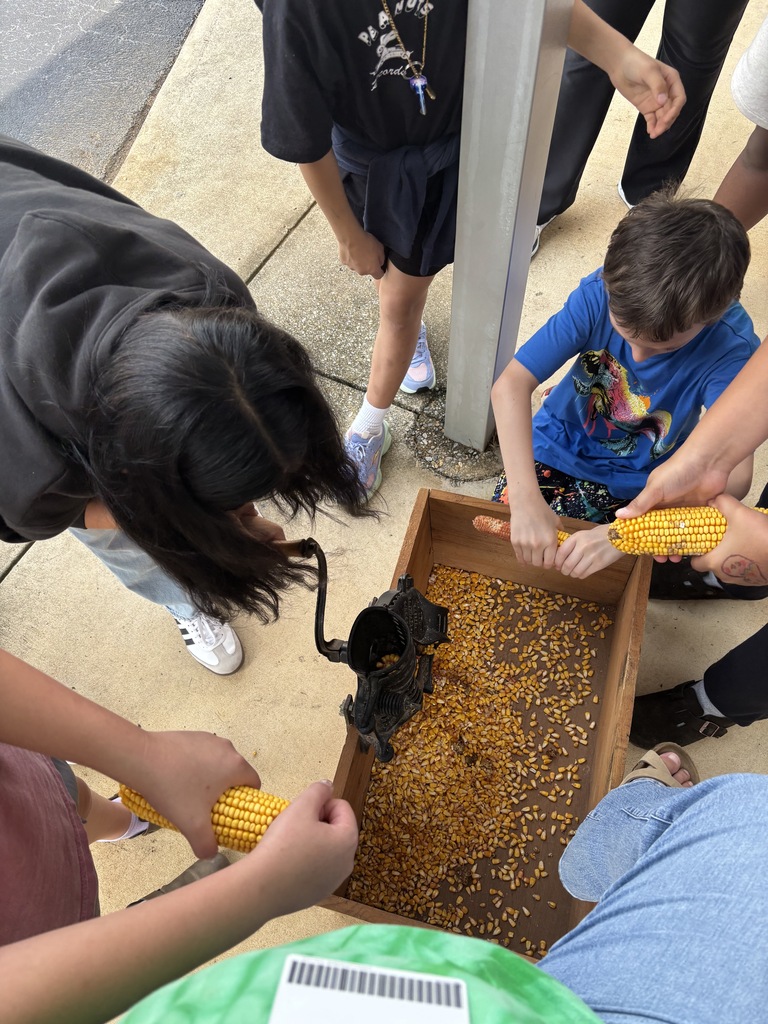 students shelling corn