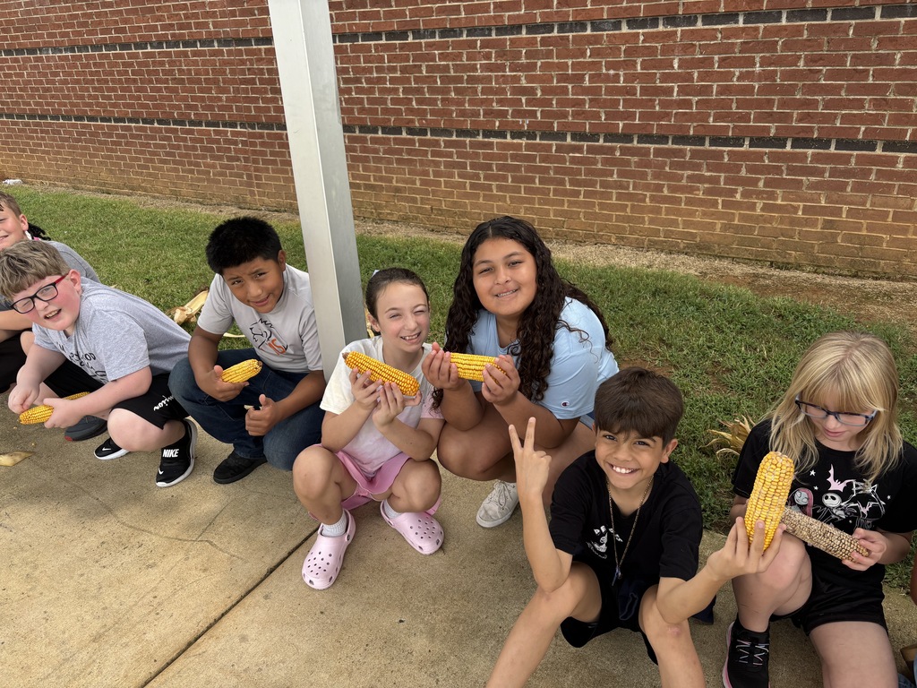 students in corn lab