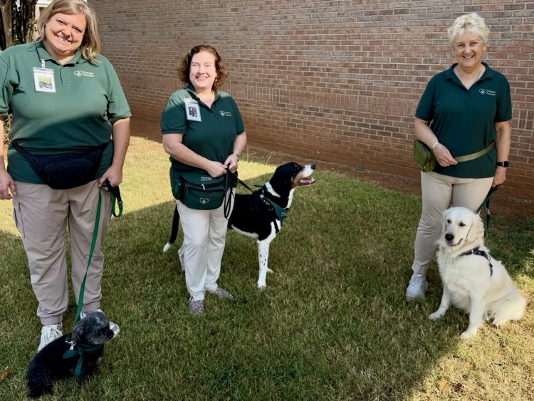 Therapy Partners 