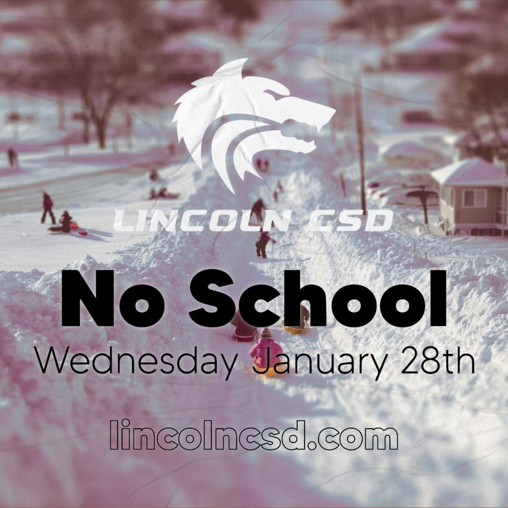 No school january 28