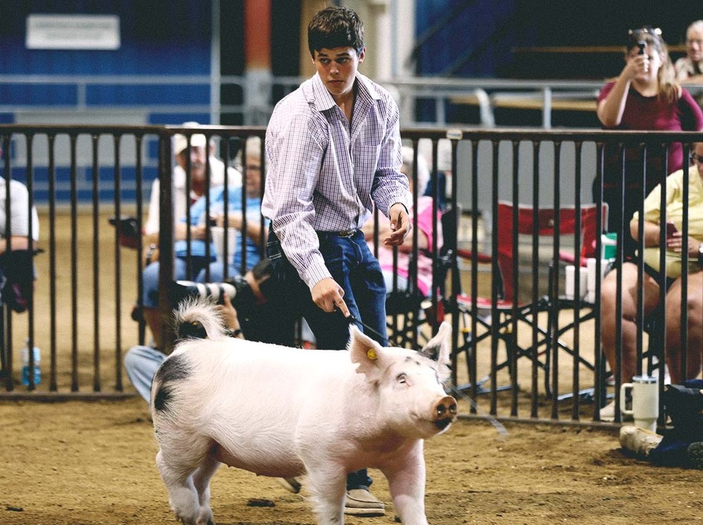 FFA Fair 02