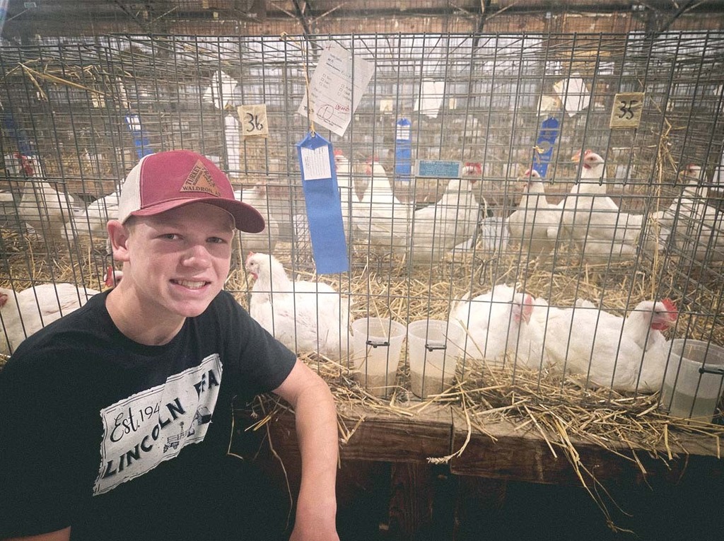 FFA Fair 01