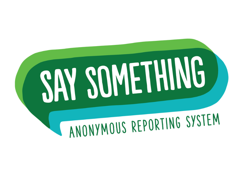 see something
