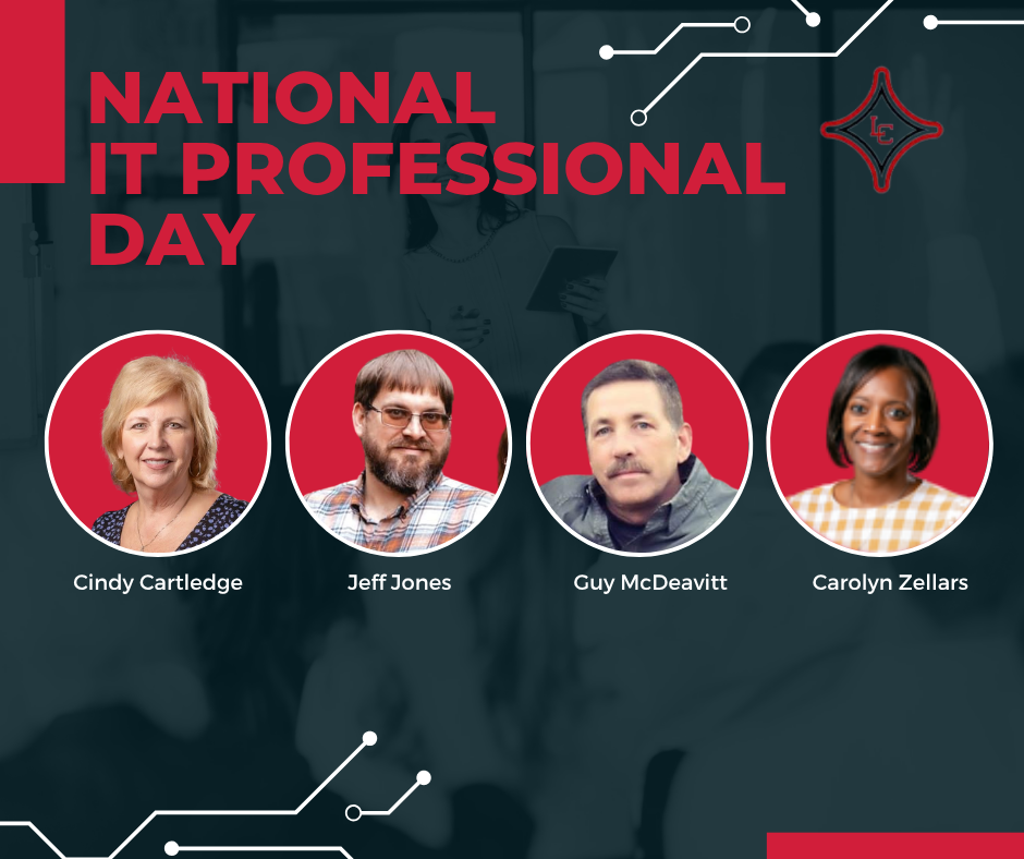 National IT Professionals Day