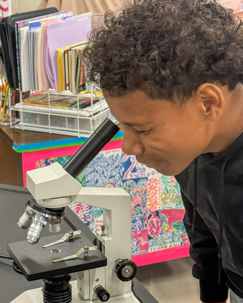 Mrs. Bentleys Class Uses Microscopes