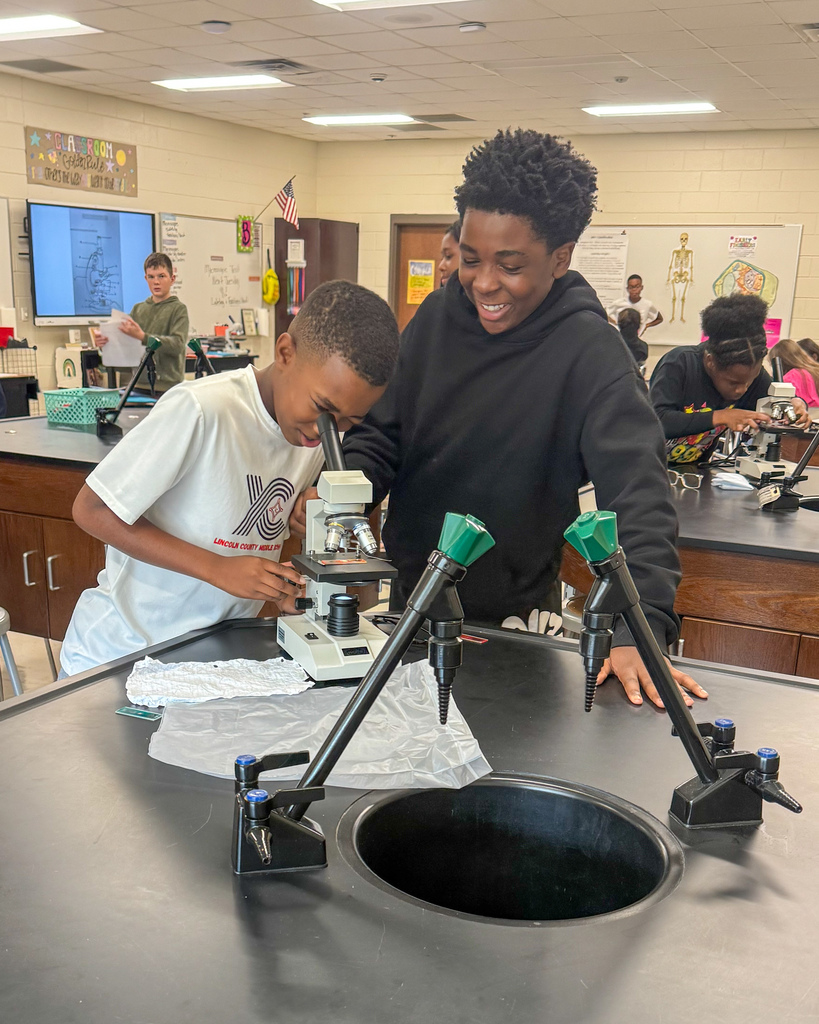 Mrs. Bentleys Class Uses Microscopes