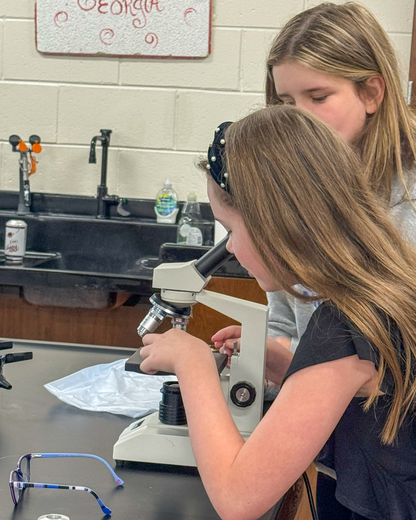 Mrs. Bentleys Class Uses Microscopes