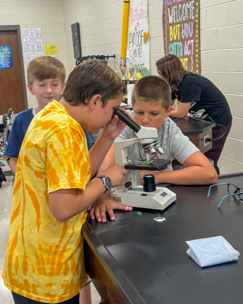 Mrs. Bentleys Class Uses Microscopes