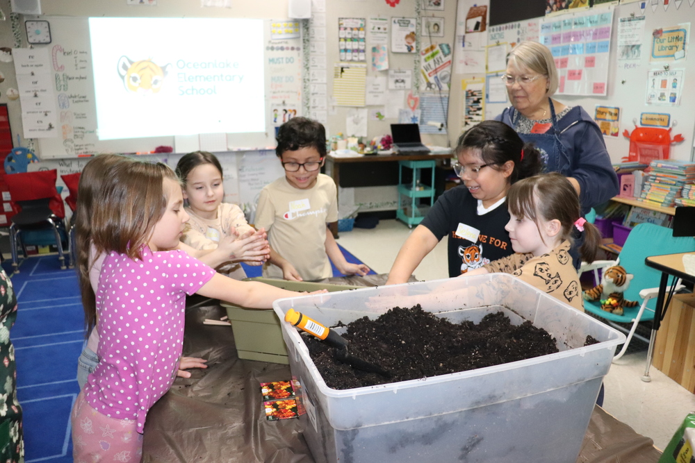 1st grade students planting seeds in a flower pot