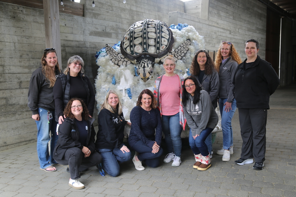 Science Implementation Team