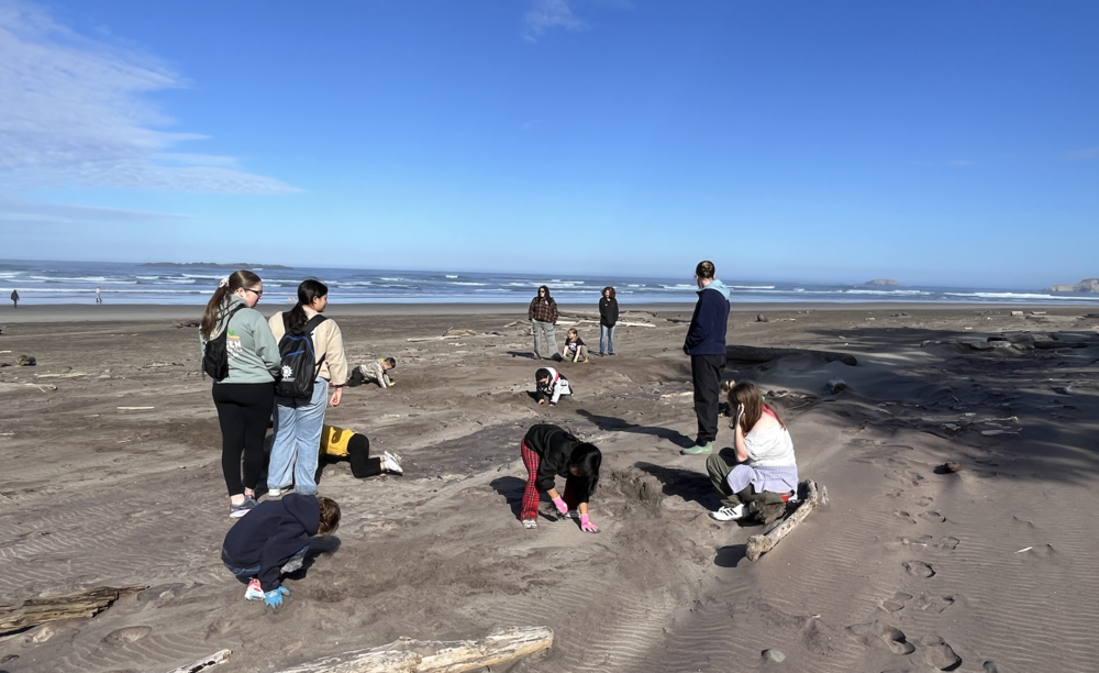 Kids digging in the sand on a beach on a sunny day