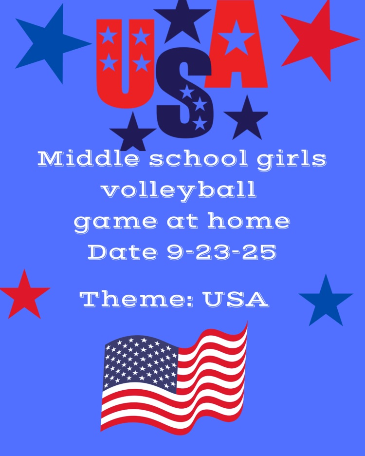 volleyball game theme USA