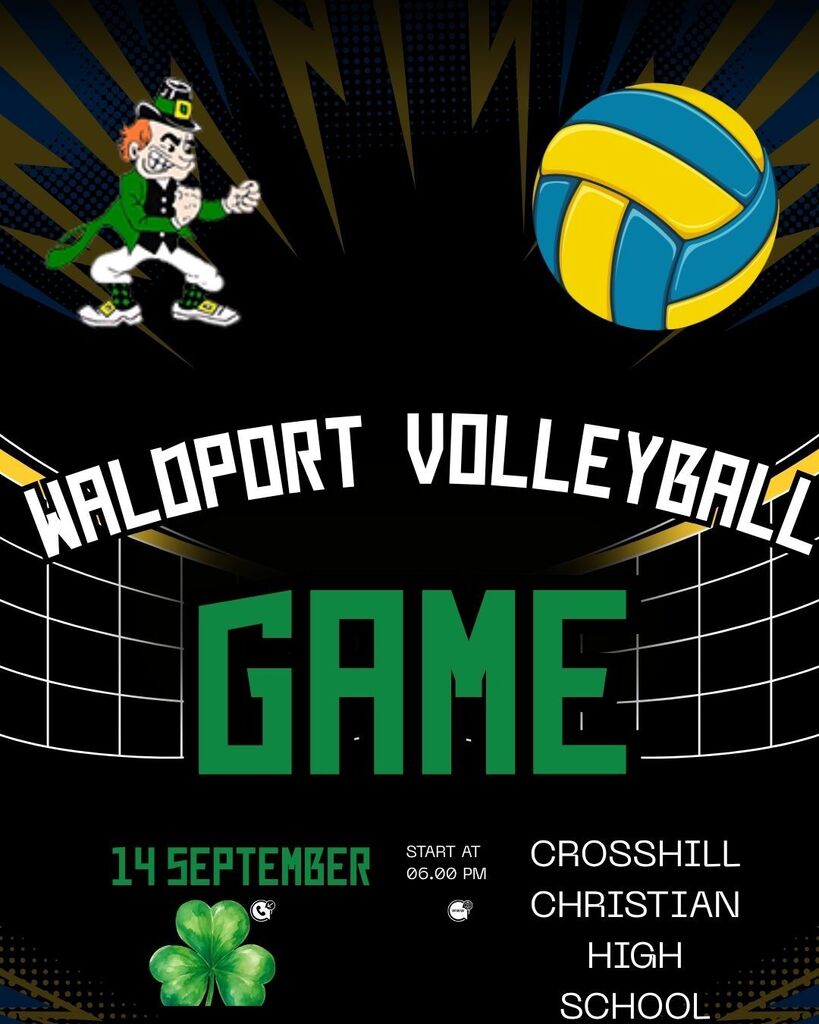 Volleyball game