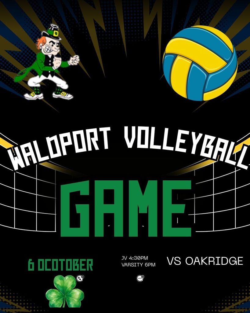 Volleyball game