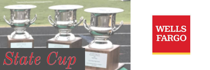 Wells Fargo Cup