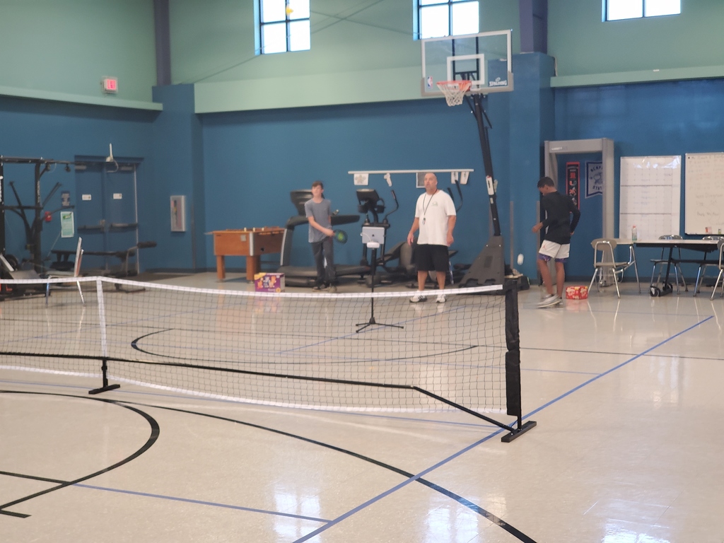 Pickle Ball