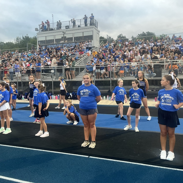 mini cheer leaders