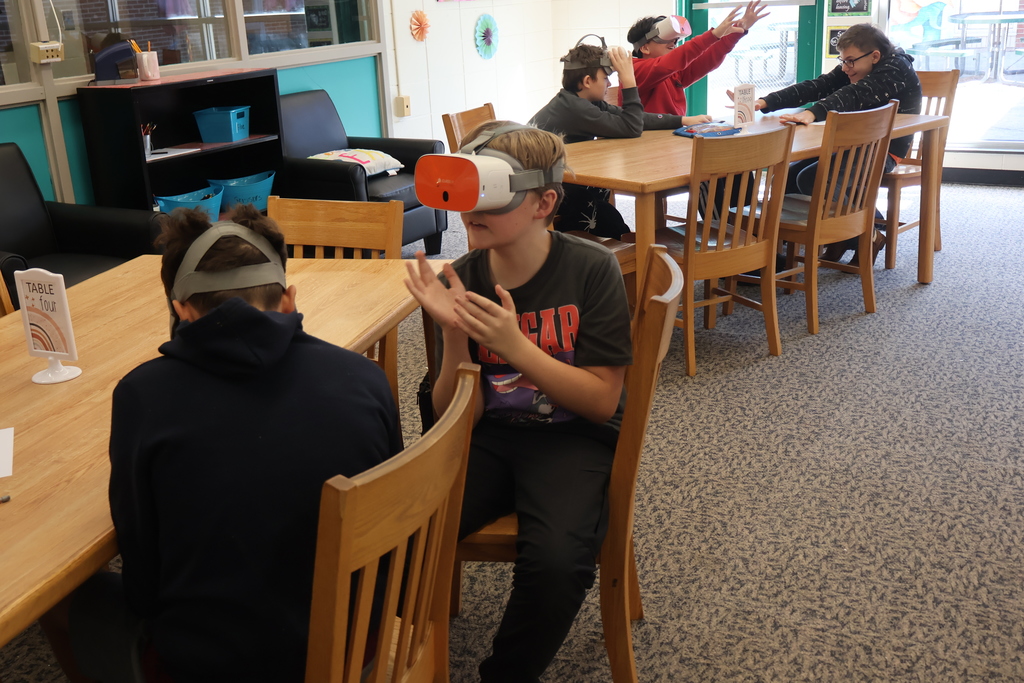 VR Headsets