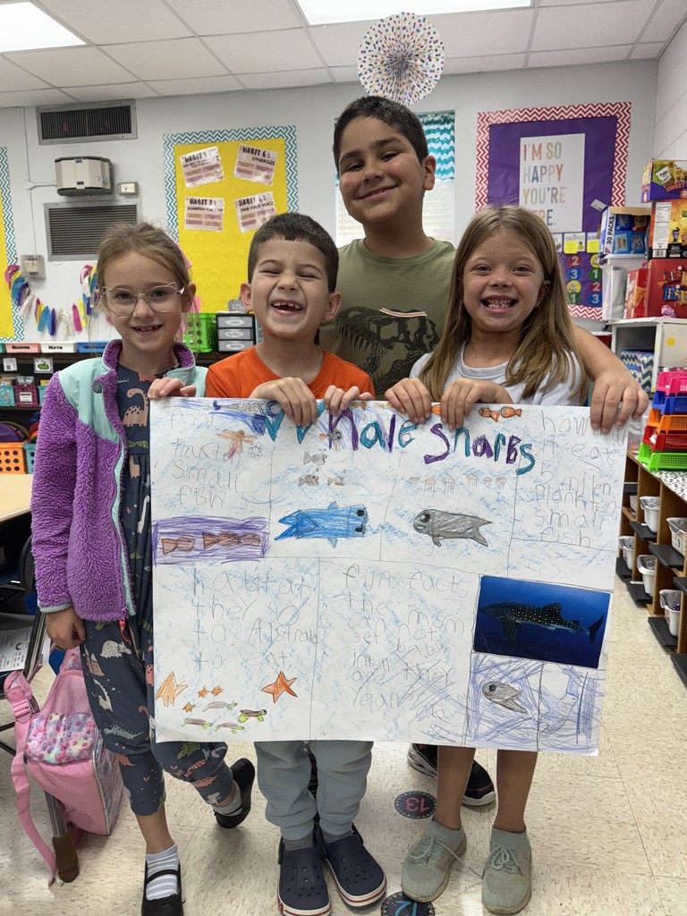 sharks