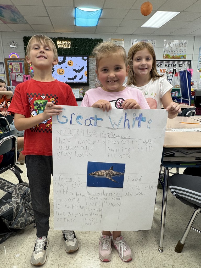 sharks