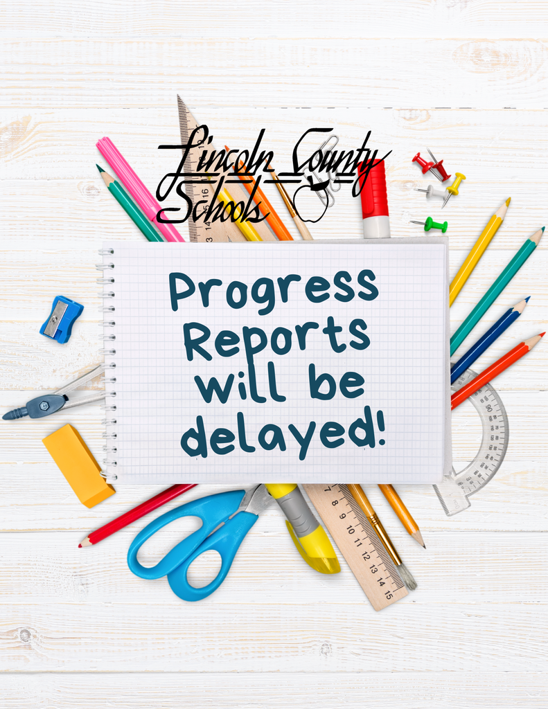 Progress Reports will be delayed!