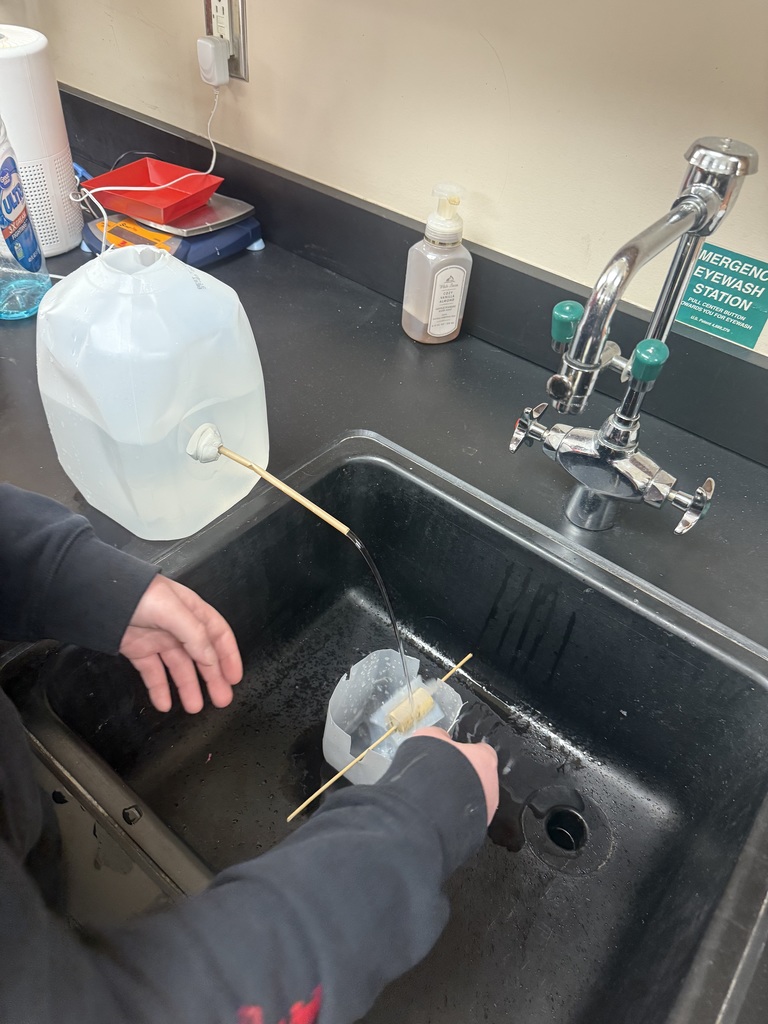 8th grade science students