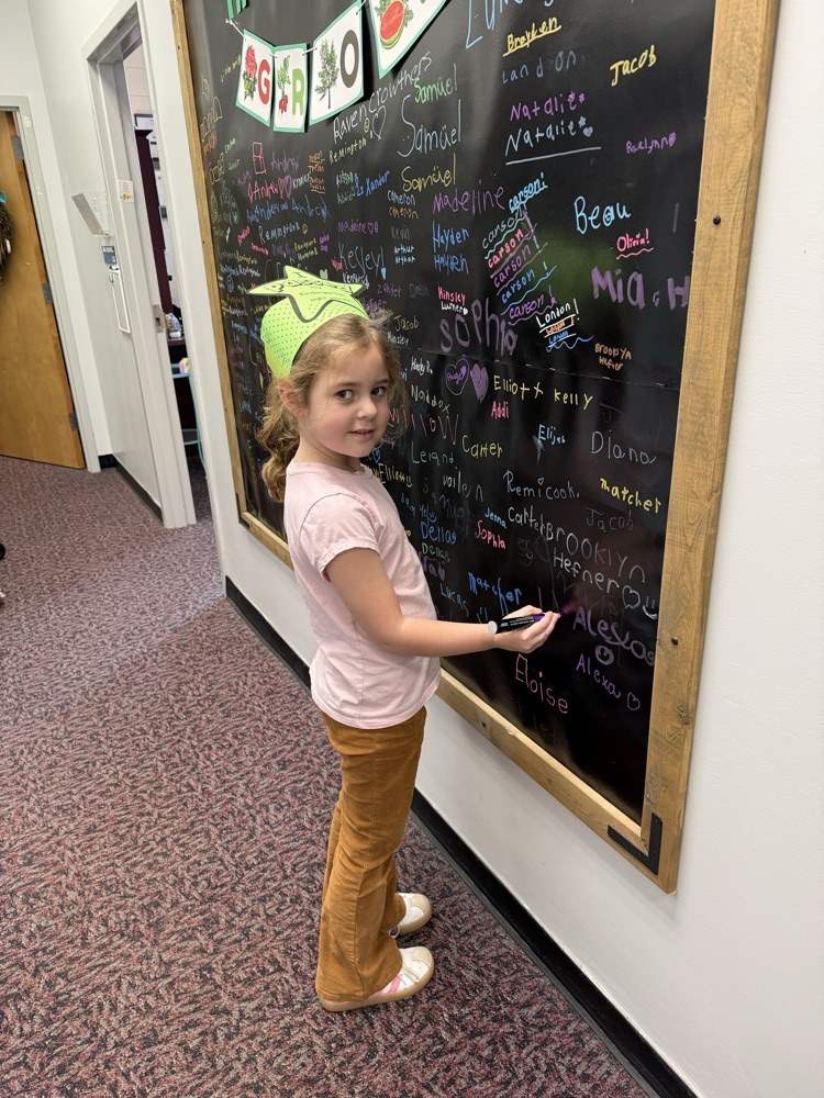 Harper kindergarten sight words