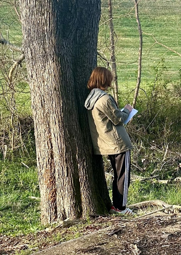 students on a nature walk for class