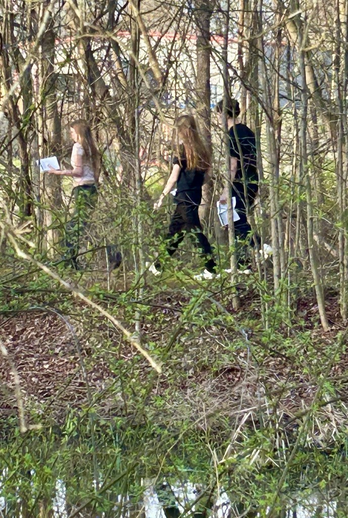 Three students walk in a single file line through a wooded area with thin trees and green undergrowth. Each student is carrying white papers or a booklet, appearing to be engaged in an outdoor educational activity or scavenger hunt.