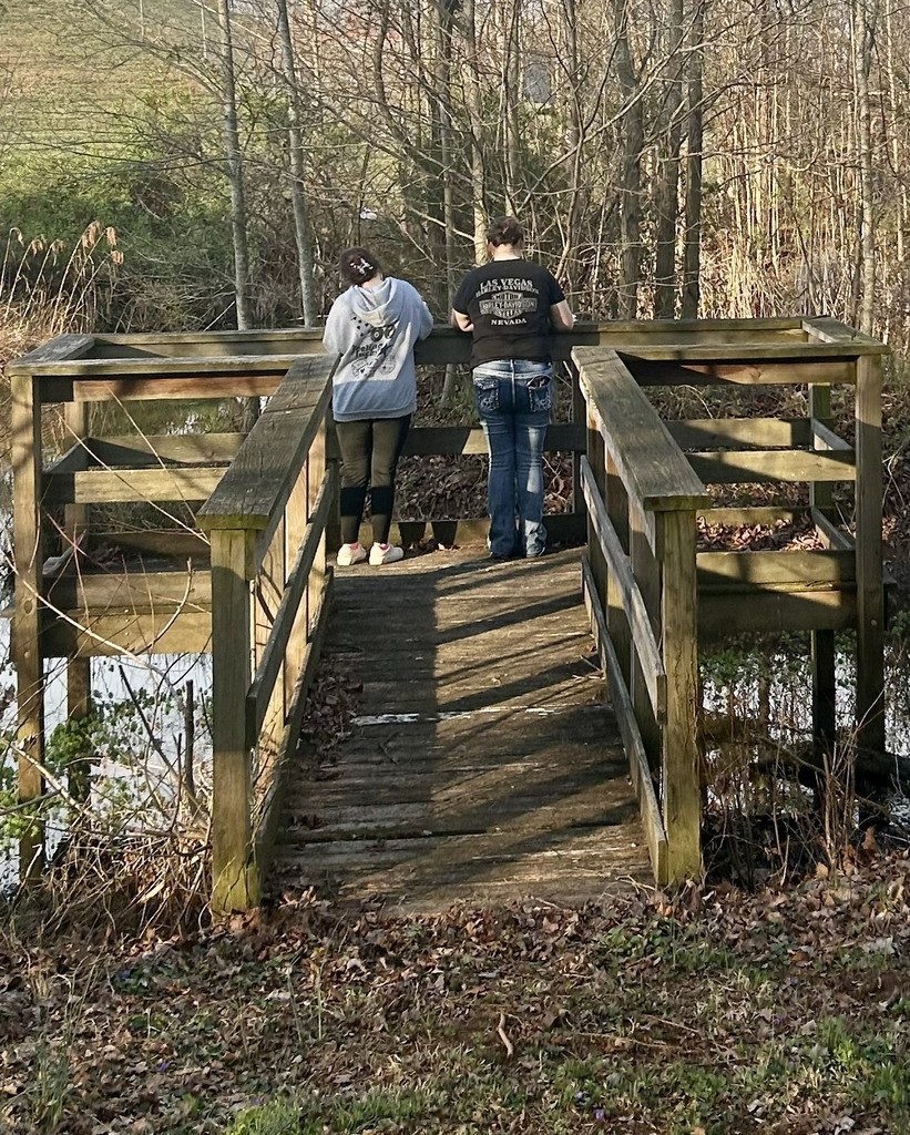 students on a nature walk for class