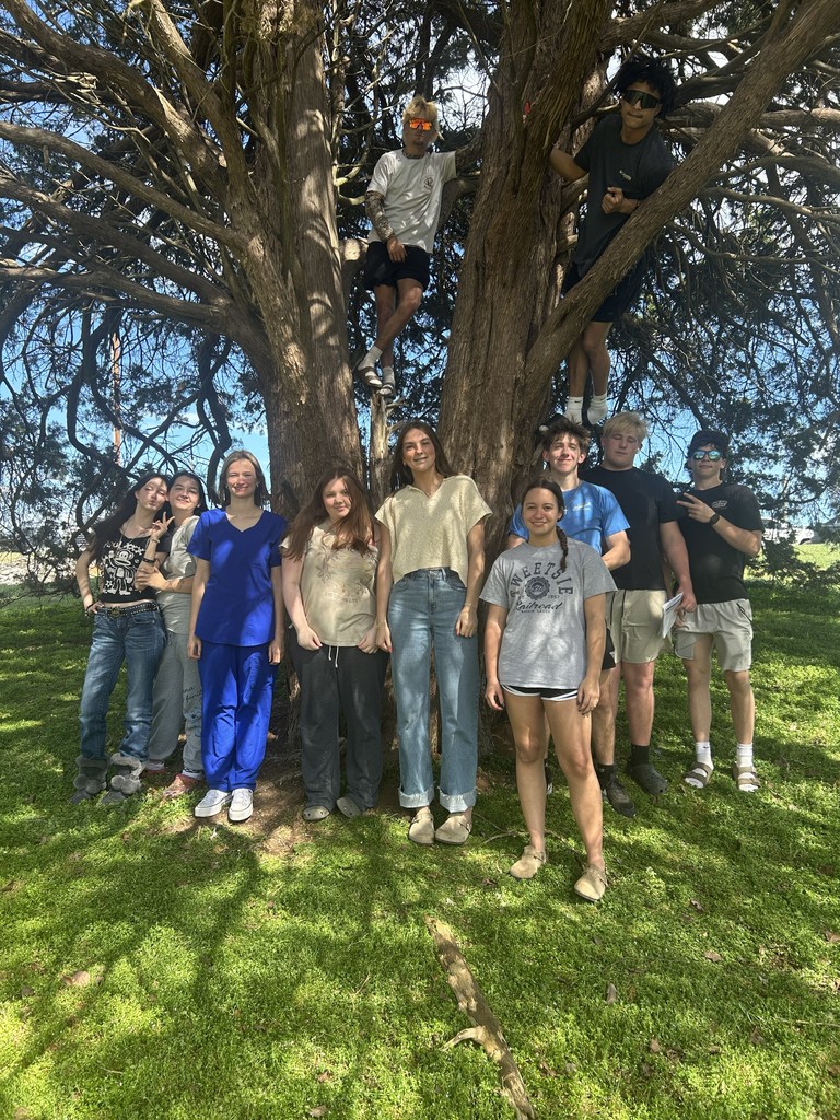 students on a nature walk for class