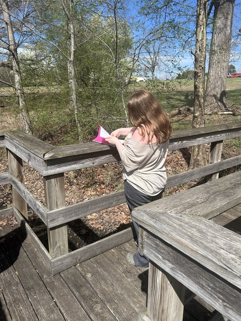 students on a nature walk for class
