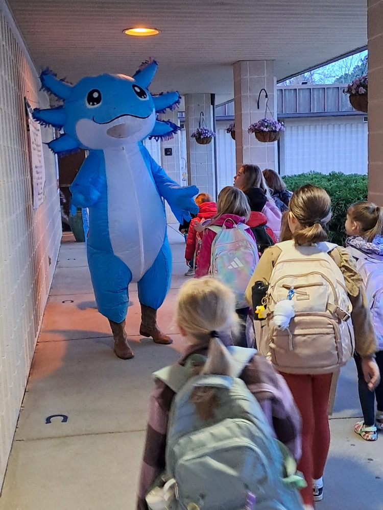 Students walking to school were greeted by a blow‑up axolotl costume, bringing big smiles and plenty of excitement to start the day.