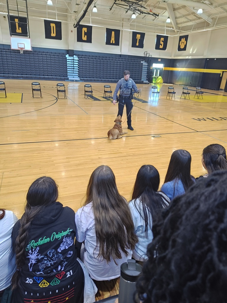 Officer Wilson and Marty stand in the center of the gymnasium during a demonstration. Marty is sitting at the officer's feet while students watch from the bleachers. The background features black and yellow banners that read WILDCATS.