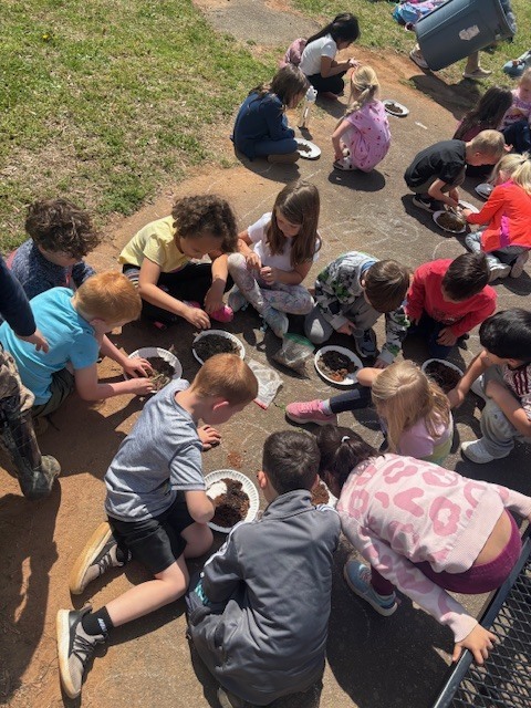 A classroom of students exploring soil outdoors A high-angle shot showing a large group of elementary students sitting in a circle on a paved outdoor area next to a grassy field. They are fully immersed in a hands-on science lesson on a bright, sunny day.  Key Details Activity: Nearly a dozen students are kneeling or sitting on the ground, each focused on white paper plates filled with soil, mulch, and organic matter. They are using their hands and small tools to sort through and examine the samples.  Environment: The scene is set outdoors at school, with green grass and backpacks visible in the background. The students are dressed in colorful casual clothes (t-shirts, sweatshirts, and patterned leggings).  Atmosphere: The image conveys a sense of active collaboration and curiosity-driven learning.