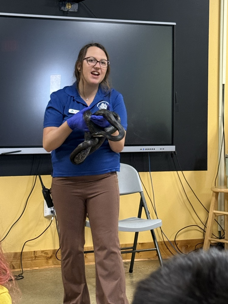 A close-up view of a female educator wearing a blue polo shirt, glasses, and purple protective gloves. She is smiling while holding a large, coiled black snake with both hands during a presentation. She stands in front of a large black digital display screen in a room with yellow walls.