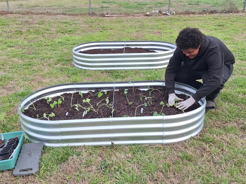 A person in a black jacket and gloves tends to plants in a raised bed. A fence is in the background.