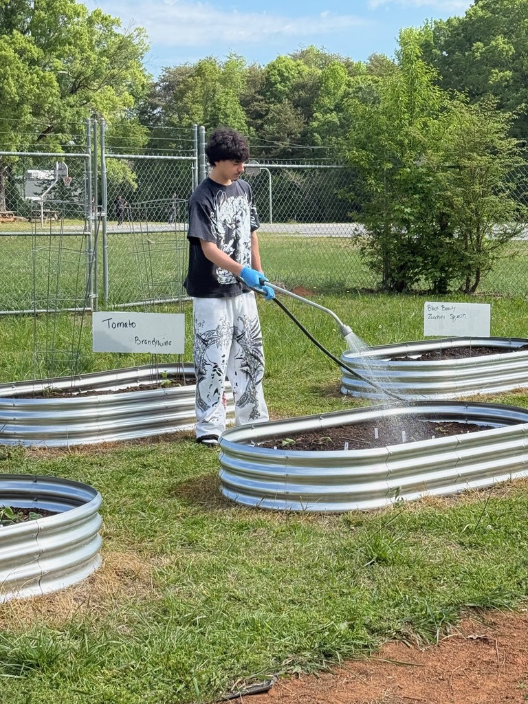 A person in a black T-shirt and blue gloves sprays water on raised garden beds with metal edges.