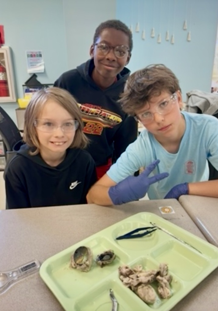 Three kids seated at a table, examining oysters on a green tray. One boy wears blue gloves.