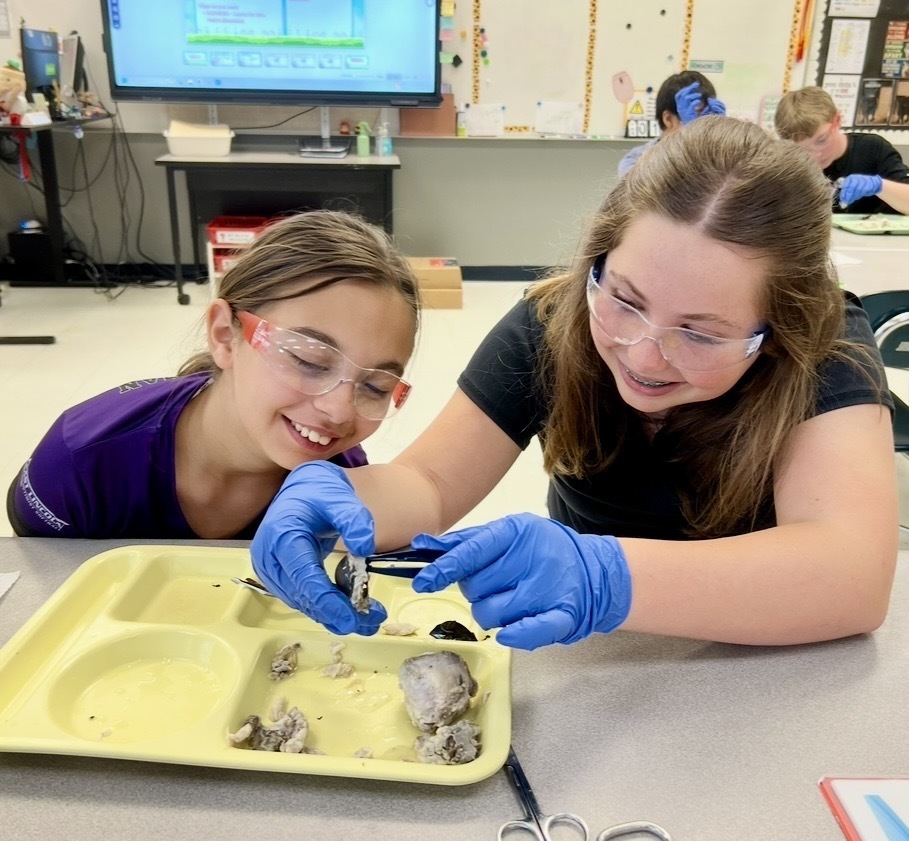 Two girls in safety glasses and gloves are seated at a table examining objects on a yellow tray.